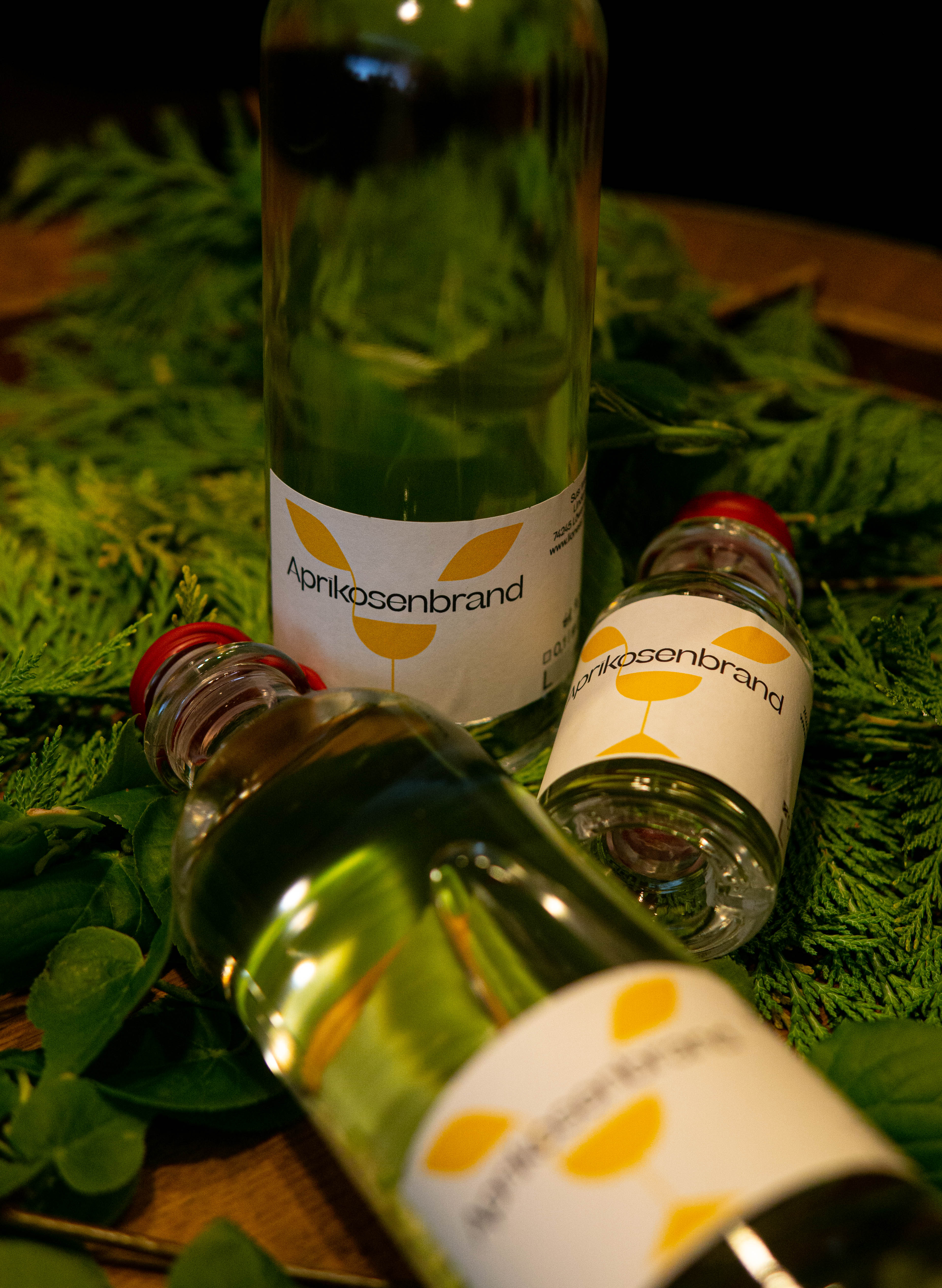 Aprikosenbrand